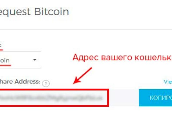 Kraken найдется все