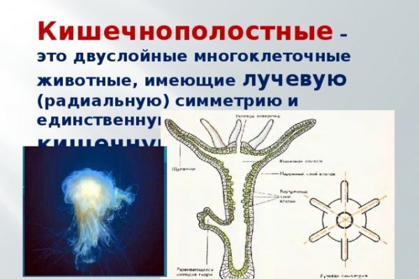 Как найти сайт кракен