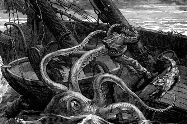 Kraken 12g