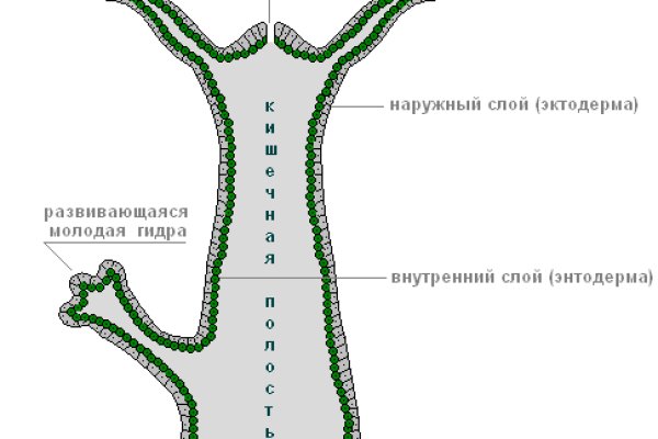 Найти ссылку на кракен